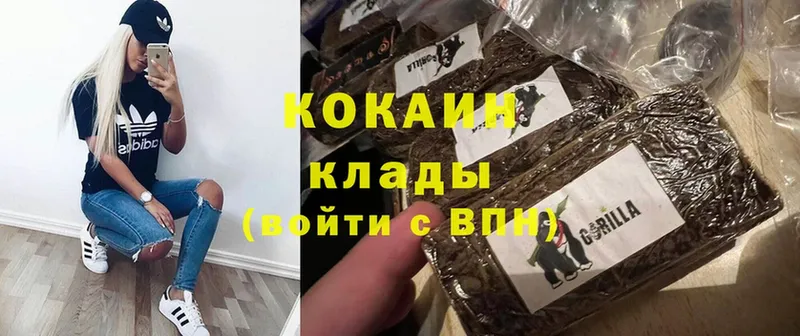 Cocaine FishScale  Губаха 